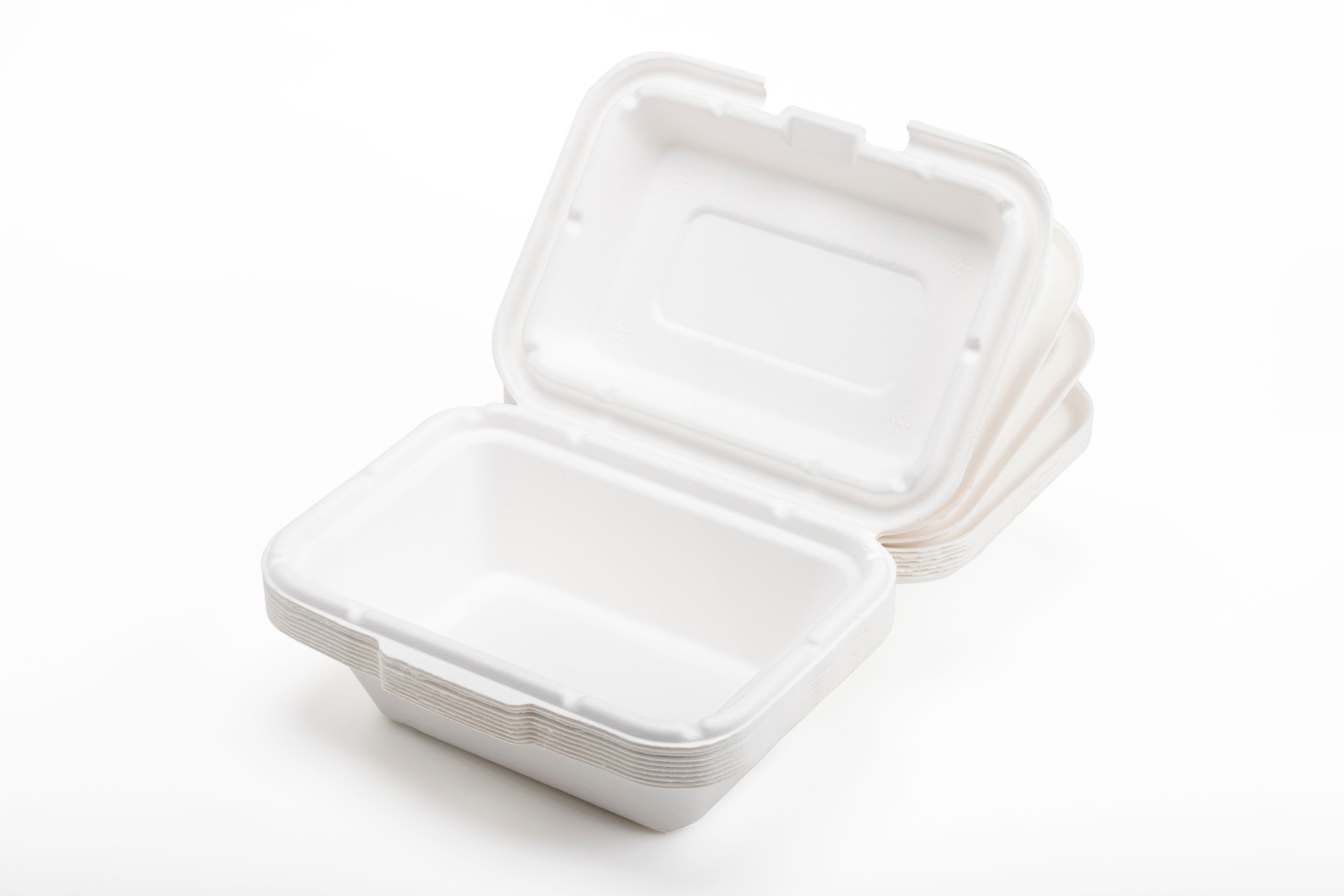 Bagasse food box on white background , Natural eco-friendly disposable utensil concept