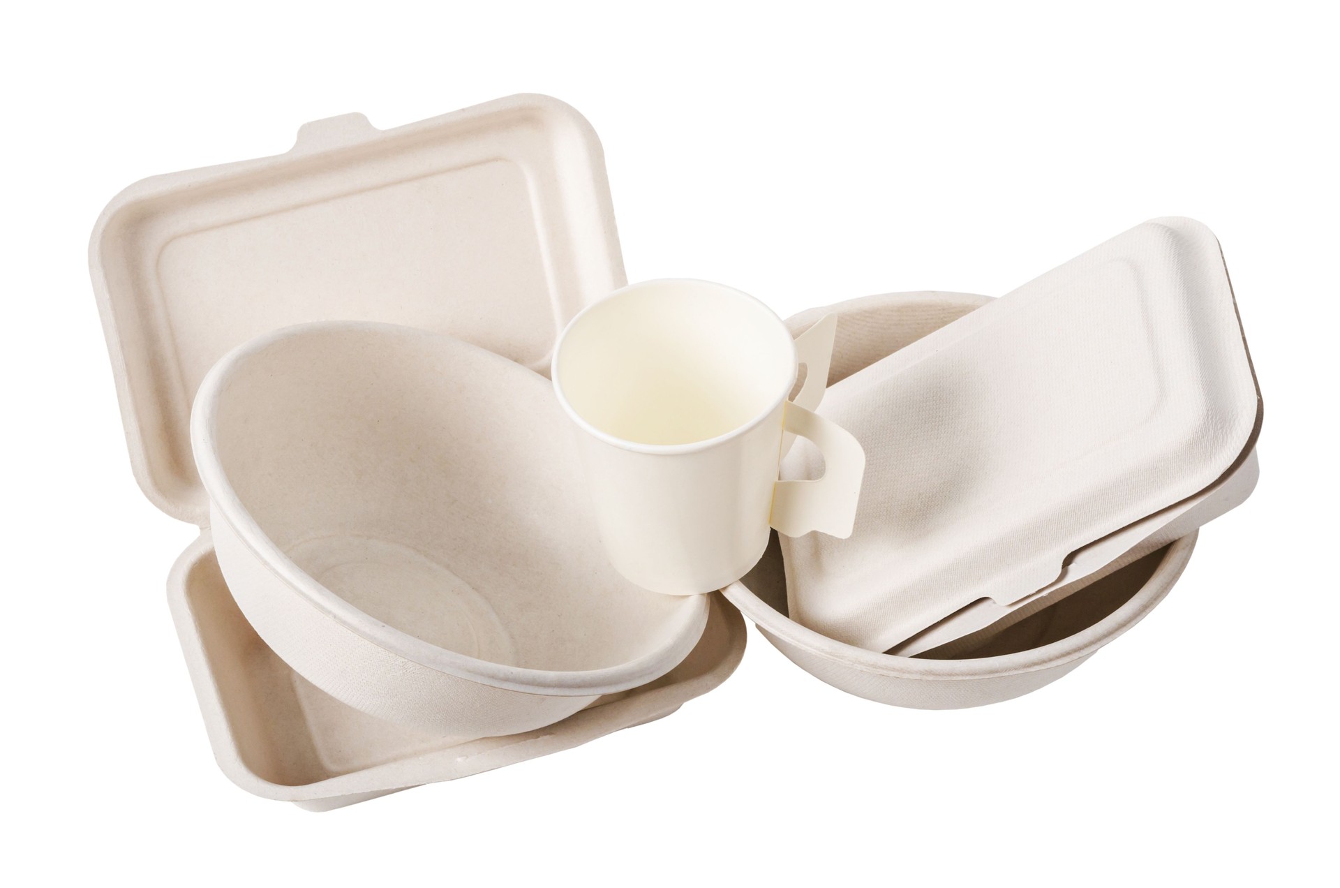 Group of product made from bagasse